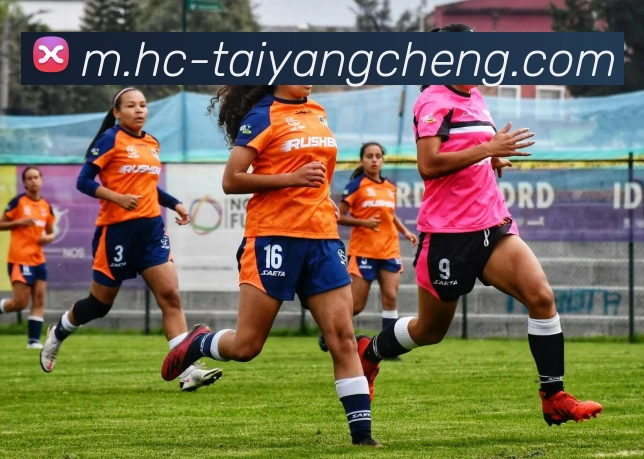 澳门太阳城平台生态图